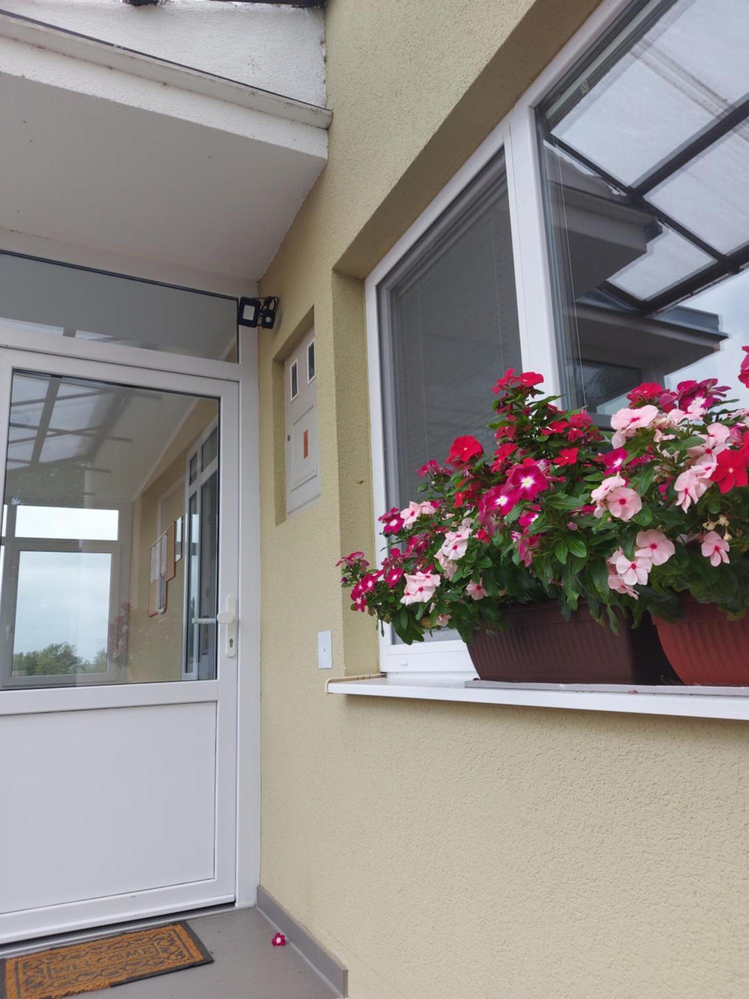 Apartman Kovac-Bilje Quarto foto